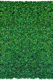 Greenery Walls