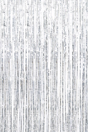 Fringe Door Curtain 1m x 2m (3.25' x 6.5') Silver