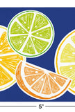 Citrus Summer Beverage Napkins (16 counts)