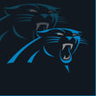 Panthers Lunch Napkins