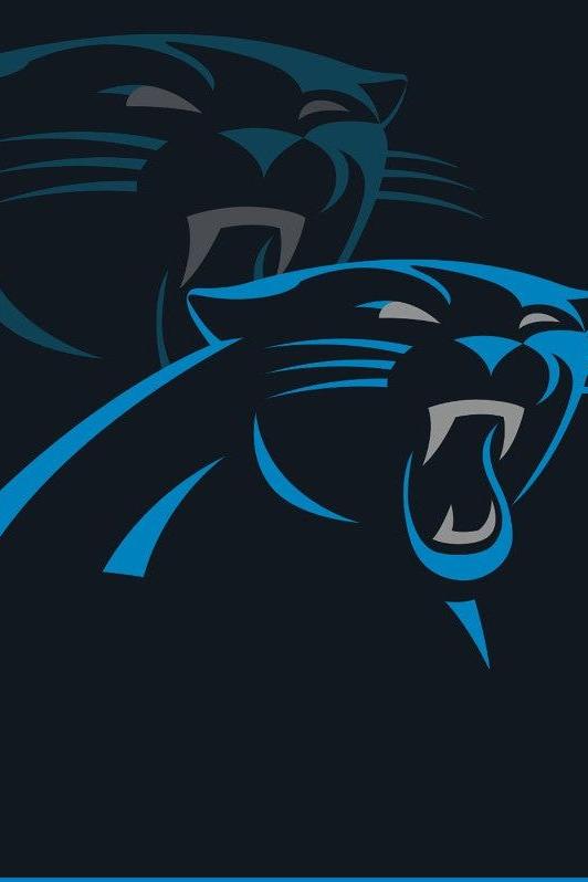 Panthers Lunch Napkins