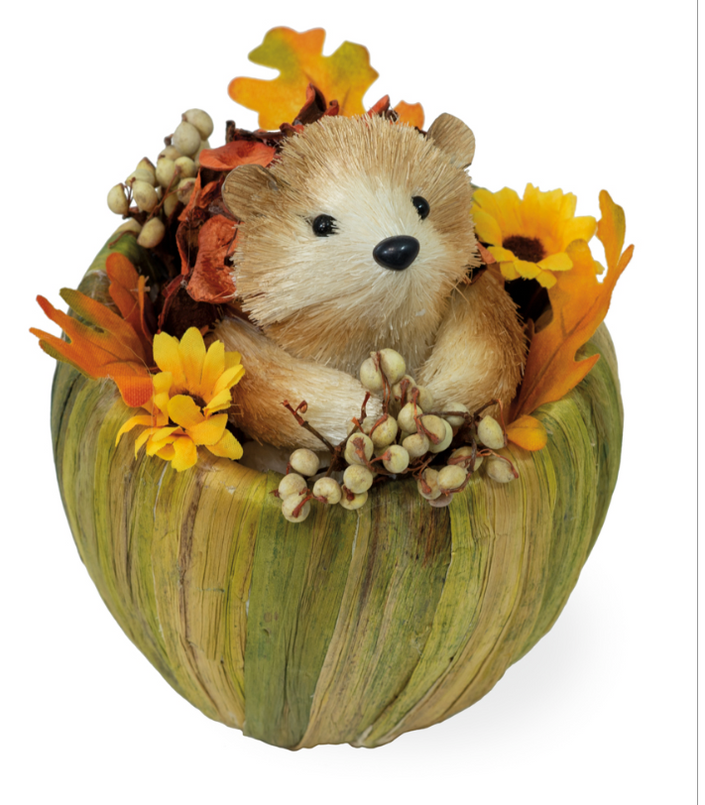 Honey Hedgehog in Pumpkin
