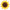 Foil Sunflower 42″ Balloon