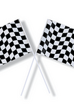 Black & White Checker Flag