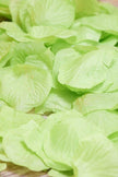 Light Green Silk Rose Petals for Weddings